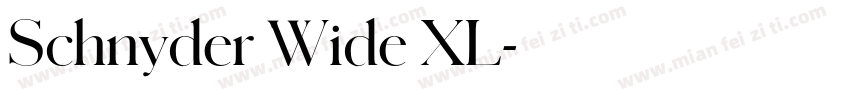 Schnyder Wide XL字体转换